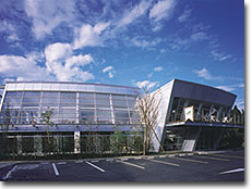 ����X�p�����h�O��